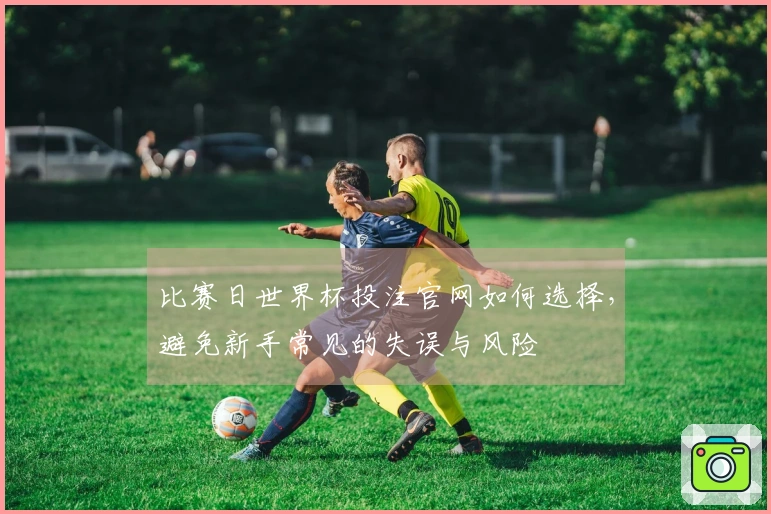 比赛日世界杯投注官网如何选择，避免新手常见的失误与风险