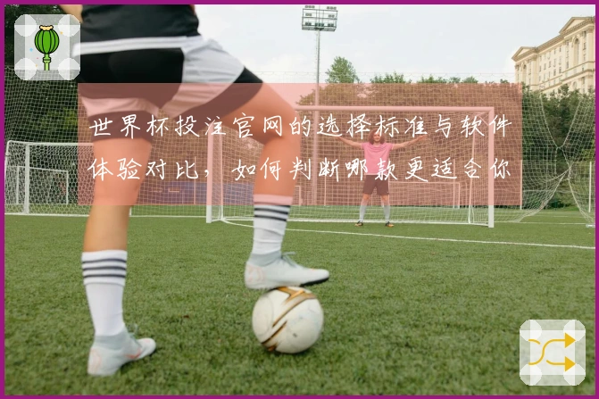 世界杯投注官网的选择标准与软件体验对比，如何判断哪款更适合你-