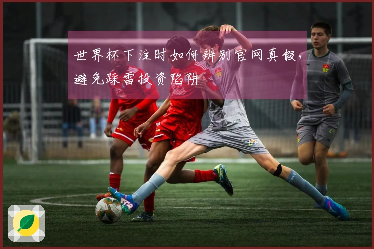 世界杯下注时如何辨别官网真假，避免踩雷投资陷阱