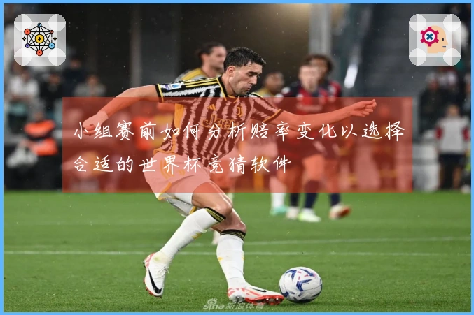 小组赛前如何分析赔率变化以选择合适的世界杯竞猜软件