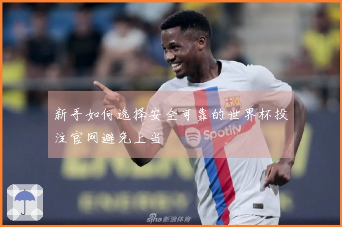新手如何选择安全可靠的世界杯投注官网避免上当
